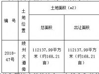 仁寿县2018-61、65号两宗10.84亩商住用地成交结果公示