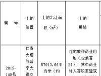 仁寿县2019-148号86.87亩商住用地挂牌拍卖