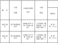 仁寿县2021-56、65地块共计约188亩工业用地挂牌