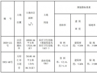 仁寿县2020-111、2021-48号地块共计约51亩土地挂牌